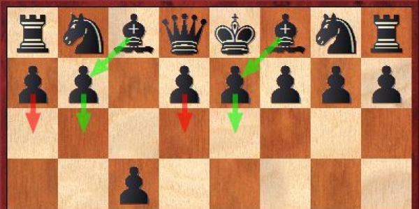 Варианты начала (дебютов) в шахматах – английской, каталонское, староиндийское и начало патцера Английское начало варианты